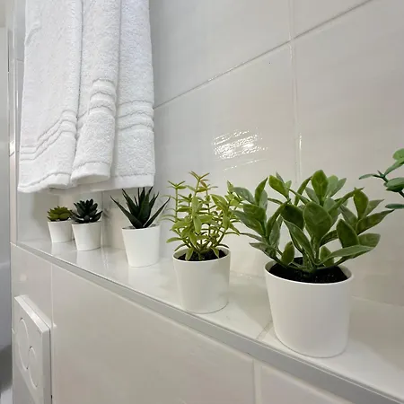 Appartamento La Maison Di San Felice Bologna